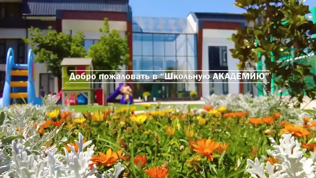Школьная академия — видео о школе